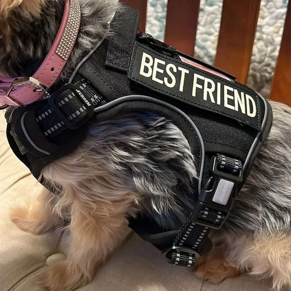 Auroth No Pull Harness K 9 Working Dog Best Friend Small New!